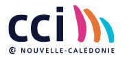 Logo CCI Nouvelle Calédonie